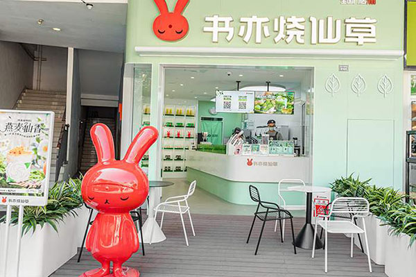3. 丰富多彩的活动内容 3. 丰富多彩的活动内容