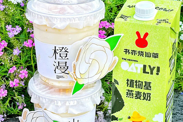 投资不可错过！加盟书亦烧仙草拥有财富人生